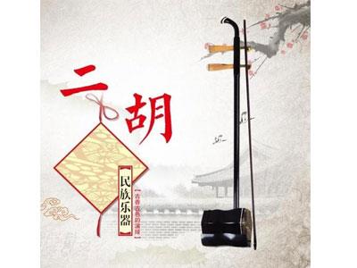 招聘贺州二胡家教老师